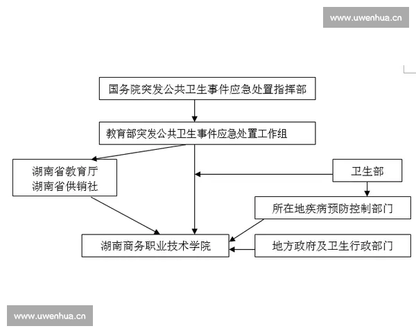 技术犯规解析与应对策略在现代竞技体育中的应用与影响分析
