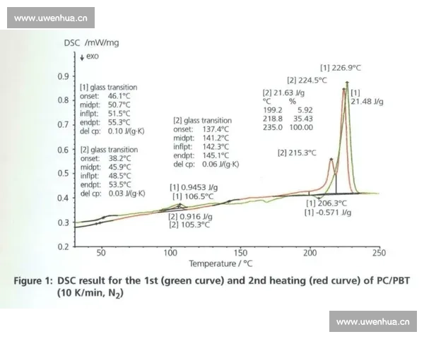滚雪球效应在个人成长与企业发展中的应用与影响分析